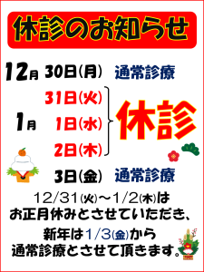 年末年始は 12月31、1月1日、2日が休業となります。